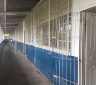 Sensibilização de Alunos e Capri de Professores da Escola Arthur Costa e Silva - Aparecida/NTV