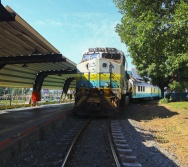 NA TRILHA DOS VALORES - AULA DE CAMPO - TREM