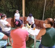 PROGRAMA ATITUDE AMBIENTAL VALE - OFICINA AMBIENTAL NAS COMUNIDADES - BAIXADA DO PIMENTA /NOVA ERA-MG