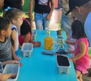 PROGRAMA COLORIR SUSTENTÁVEL - ETAPA PEQUENOS HORTICULTORES