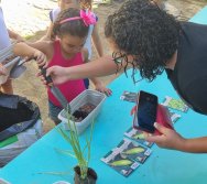 PROGRAMA COLORIR SUSTENTÁVEL - ETAPA PEQUENOS HORTICULTORES