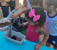 PROGRAMA COLORIR SUSTENTÁVEL - ETAPA PEQUENOS HORTICULTORES