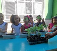 PROGRAMA COLORIR SUSTENTÁVEL - ETAPA PEQUENOS HORTICULTORES