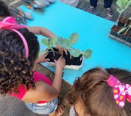 PROGRAMA COLORIR SUSTENTÁVEL - ETAPA PEQUENOS HORTICULTORES