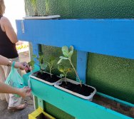 PROGRAMA COLORIR SUSTENTÁVEL - ETAPA PEQUENOS HORTICULTORES