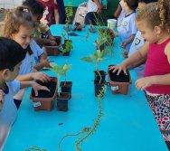 PROGRAMA COLORIR SUSTENTÁVEL - ETAPA PEQUENOS HORTICULTORES