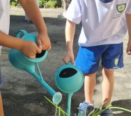 PROGRAMA COLORIR SUSTENTÁVEL - ETAPA PEQUENOS HORTICULTORES