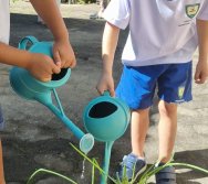 PROGRAMA COLORIR SUSTENTÁVEL - ETAPA PEQUENOS HORTICULTORES