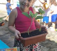 PROGRAMA COLORIR SUSTENTÁVEL - ETAPA PEQUENOS HORTICULTORES