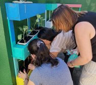 PROGRAMA COLORIR SUSTENTÁVEL - ETAPA PEQUENOS HORTICULTORES