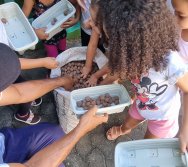 PROGRAMA COLORIR SUSTENTÁVEL - ETAPA PEQUENOS HORTICULTORES