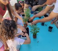 PROGRAMA COLORIR SUSTENTÁVEL - ETAPA PEQUENOS HORTICULTORES