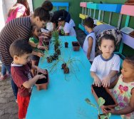 PROGRAMA COLORIR SUSTENTÁVEL - ETAPA PEQUENOS HORTICULTORES