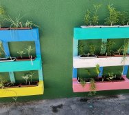 PROGRAMA COLORIR SUSTENTÁVEL - ETAPA PEQUENOS HORTICULTORES