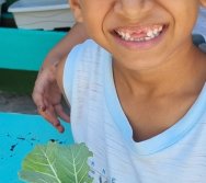 PROGRAMA COLORIR SUSTENTÁVEL - ETAPA PEQUENOS HORTICULTORES