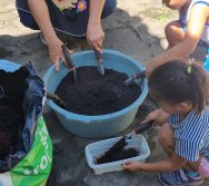 PROGRAMA COLORIR SUSTENTÁVEL - ETAPA PEQUENOS HORTICULTORES