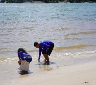 PROGRAMA ATITUDE AMBIENTAL VALE EM PARCERIA COM A COLORIR CRIANDO VALORES - PASSEIO INTEGRADOR MG E ES - SÉRIES INICIAS