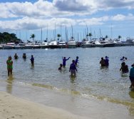 PROGRAMA ATITUDE AMBIENTAL VALE EM PARCERIA COM A COLORIR CRIANDO VALORES - PASSEIO INTEGRADOR MG E ES - SÉRIES INICIAS