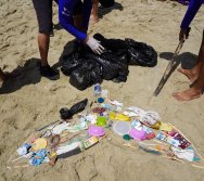 PROGRAMA ATITUDE AMBIENTAL VALE EM PARCERIA COM A COLORIR CRIANDO VALORES - PASSEIO INTEGRADOR MG E ES - SÉRIES INICIAS