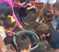 PROJETO COLORIR SUSTENTÁVEL- ETAPA PEQUENOS HORTICULTORES