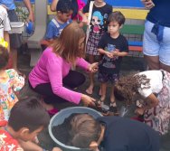 PROJETO COLORIR SUSTENTÁVEL- ETAPA PEQUENOS HORTICULTORES