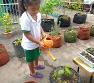 USO DO BIOFERTILIZANTE NA HORTA DO PROJETO COLORIR SUSTENTÁVEL - ELKEM