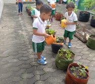 USO DO BIOFERTILIZANTE NA HORTA DO PROJETO COLORIR SUSTENTÁVEL - ELKEM