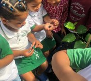 COLHEITA - CRIANÇAS COLHEM AMORAS APOS APRENDEREM TODO O PROCESSO DA HORTA