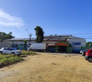 PROJETO COLORIR SUSTENTÁVEL - AS TURMAS VÃO ALIMENTAR AS MINHOCAS