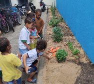 DIA DE PLANTAR RABANETES COM O CMEI REGIONAL SILVESTRE - PEQUENOS HORTICULTORES NO PROJETO COLORIR SUSTENTÁVEL
