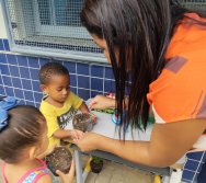 DIA DE PLANTAR RABANETES COM O CMEI REGIONAL SILVESTRE - PEQUENOS HORTICULTORES NO PROJETO COLORIR SUSTENTÁVEL