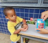 DIA DE PLANTAR RABANETES COM O CMEI REGIONAL SILVESTRE - PEQUENOS HORTICULTORES NO PROJETO COLORIR SUSTENTÁVEL