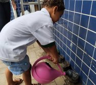 DIA DE PLANTAR RABANETES COM O CMEI REGIONAL SILVESTRE - PEQUENOS HORTICULTORES NO PROJETO COLORIR SUSTENTÁVEL