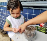 DIA DE PLANTAR RABANETES COM O CMEI REGIONAL SILVESTRE - PEQUENOS HORTICULTORES NO PROJETO COLORIR SUSTENTÁVEL
