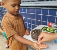 DIA DE PLANTAR RABANETES COM O CMEI REGIONAL SILVESTRE - PEQUENOS HORTICULTORES NO PROJETO COLORIR SUSTENTÁVEL