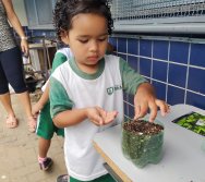 DIA DE PLANTAR RABANETES COM O CMEI REGIONAL SILVESTRE - PEQUENOS HORTICULTORES NO PROJETO COLORIR SUSTENTÁVEL