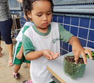 DIA DE PLANTAR RABANETES COM O CMEI REGIONAL SILVESTRE - PEQUENOS HORTICULTORES NO PROJETO COLORIR SUSTENTÁVEL