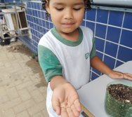 DIA DE PLANTAR RABANETES COM O CMEI REGIONAL SILVESTRE - PEQUENOS HORTICULTORES NO PROJETO COLORIR SUSTENTÁVEL