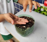 DIA DE PLANTAR RABANETES COM O CMEI REGIONAL SILVESTRE - PEQUENOS HORTICULTORES NO PROJETO COLORIR SUSTENTÁVEL