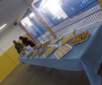 PALESTRA: SUSTENTABILIDADE - SUBSÍDIOS PARA PROFESSORES - EMEF VALÉRIA MARIA MIRANDA - SERRA - ES