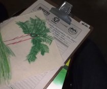 PALESTRA PARA SOCIOEDUCANDOS DA MARCA AMBIENTAL