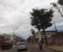 PC3ES = SUSTENTÁVEL - EMEF CIDADE POMAR - SERRA - ES(PARCEIROS: ASPE E COLORIR)