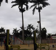 PC3ES = SUSTENTABILIDADE - CAPRI DE PAIS -  EMEF E.N. - FUNDÃO