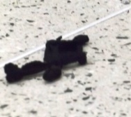 PROJETO CONTANDO HISTÓRIAS COLORINDO VIDAS - CMEI CORA CORALINA