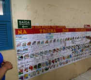 NA TRILHA DOS VALORES - ALUNOS EM AÇÃO COM AS ATIVIDADES DESENVOLVIDAS PELOS PROFESSORES