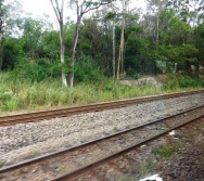 NA TRILHA DOS VALORES - ETAPA ALCANÇAR E LEGITIMAR - EEEF MANOEL PASCHOAL - FLEXAL