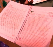 TRABALHO DA PROFESSORA IVANETE COM ALUNOS NTV