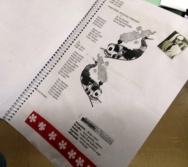 TRABALHO DA PROFESSORA IVANETE COM ALUNOS NTV