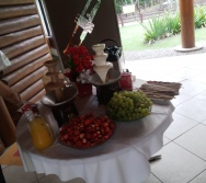 FECHAMENTO DO NTV NO PARQUE BOTÂNICO DA VALE