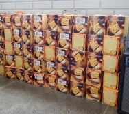 CERTIFICAÇÃO DOS PROFESSORES AMÉRICO GUIMARÃES COSTA - NTV